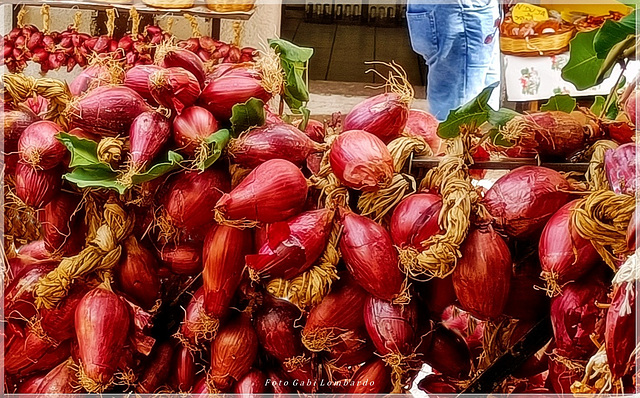 red onions of TROPEA