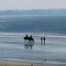 Morgens am Strand