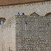 Dubrovnik Wall (HWW) Dubrovnik Wall (HWW)