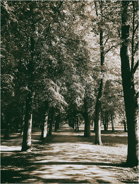 park boulevard...