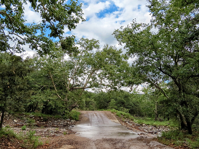 Crossing Carr Creek