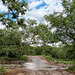 Crossing Carr Creek