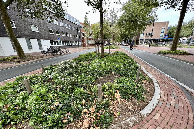 Langegracht after renovation