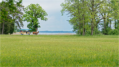 Herrenchiemsee Palace Park  21 Herrenchiemsee Palace Park  21