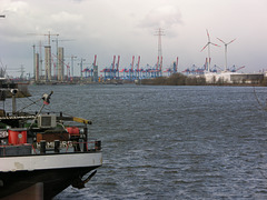 Vattenfalls Kohlekraftwerk im Bau, Altenwerders Containerhafen-Kräne