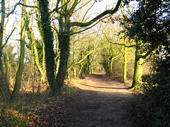 Last rays of winter sun at Kingsbury Water Park