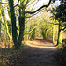 Last rays of winter sun at Kingsbury Water Park