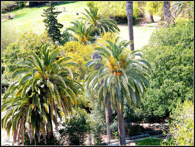 Printemps en Afrique du Nord * Frühling in Nordafrika