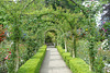 Rose Garden At The Butchart Gardens