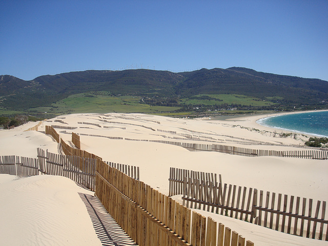 Dünen am Playa de Valdevaqueros