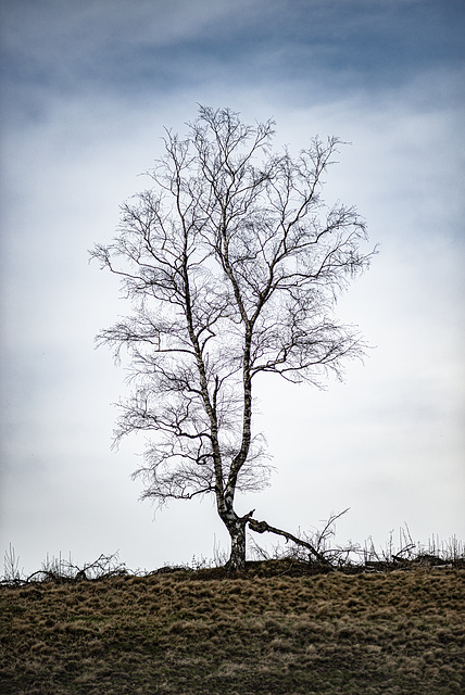 20240327_benneckenstein_wanderung (d800)