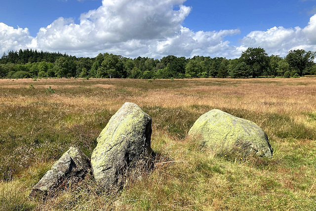 Fundstücksgrundstück mit Findlingen