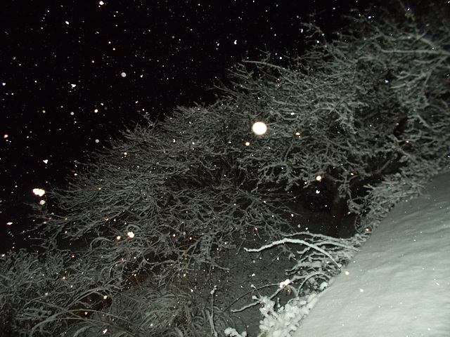 wst[25]/gbww[25] - forecast correct {5thJan 08:24}