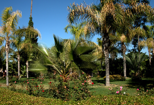 Marrakesch