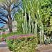 Public Garden in   Taormina