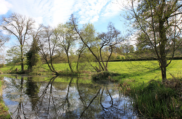 Montogomery Canal