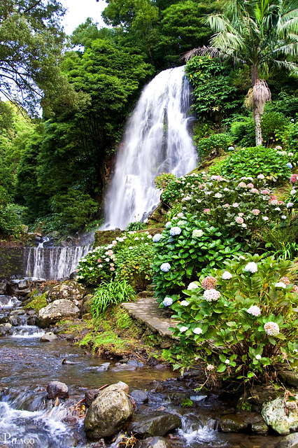 Parque Natural da Ribeira dos Caldeirões, São Migu