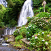 Parque Natural da Ribeira dos Caldeirões, São Migu