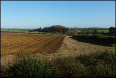 autumn brown landscape