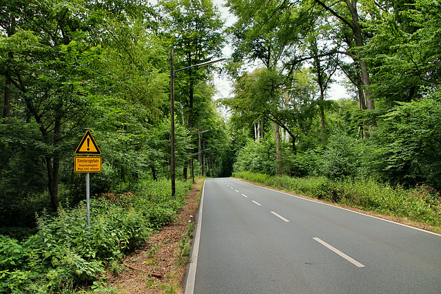 Blankensteiner Straße im Weitmarer Holz (Bochum) / 14.07.2019