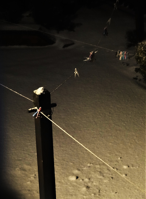 Last Night's Snowy Clothes Line