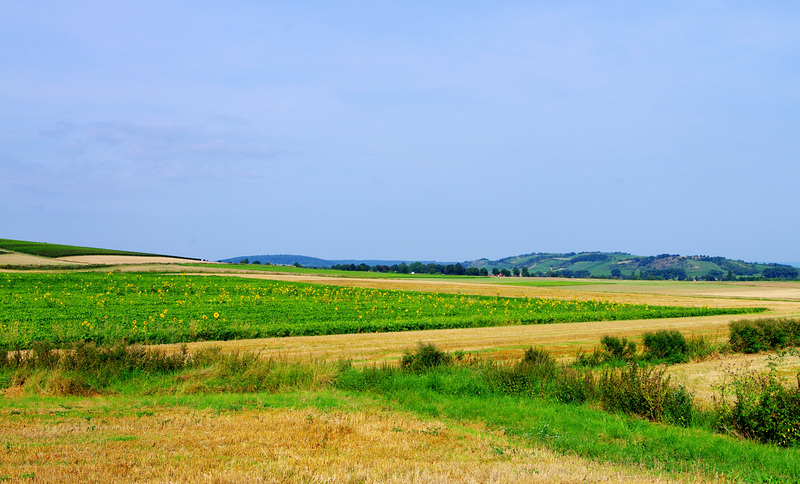 Alzey Deutschland