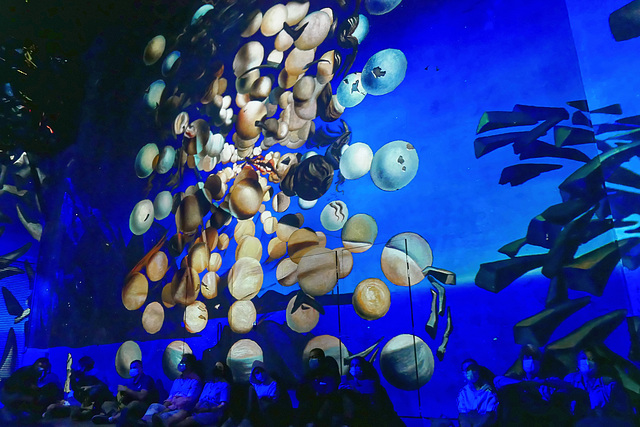 Dali à l'Atelier des Lumières (9)