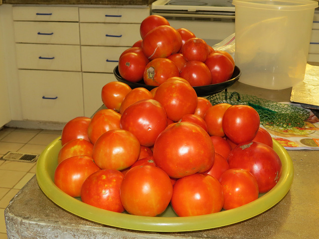 Tomatoes from my garden