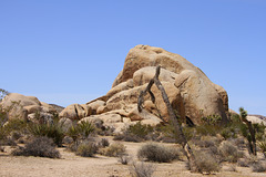 Joshua Tree National Park