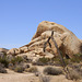 Joshua Tree National Park