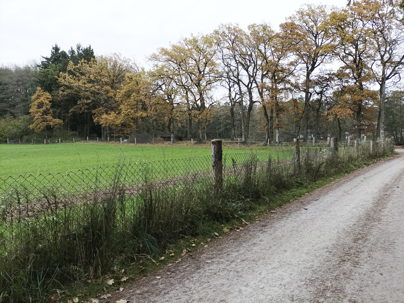 Fränkischer Jakobsweg: Gräfenberg - Kalchreuth