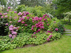 Dans le parc de L'arborétum