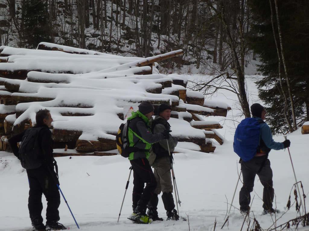 20150101 -03 Raquettes Vercors (129) al