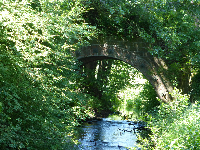 verwunschene Brücke