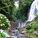 Parque Natural da Ribeira dos Caldeirões, São Miguel Island / Azores (Açores)