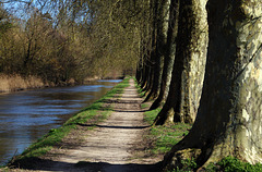 Promenade bol d'air le long du canal d'Orléans  .