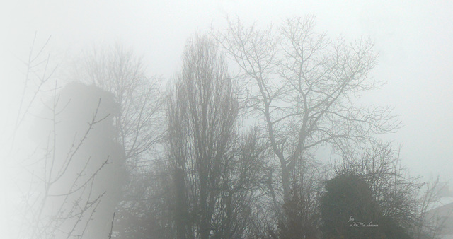 Nebel