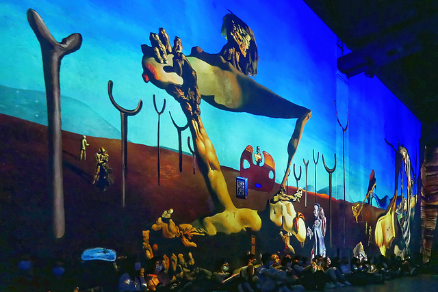 Dali à l'Atelier des Lumières (11)