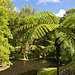 Parque Terra Nostra, São Miguel Island / Azores (Açores)