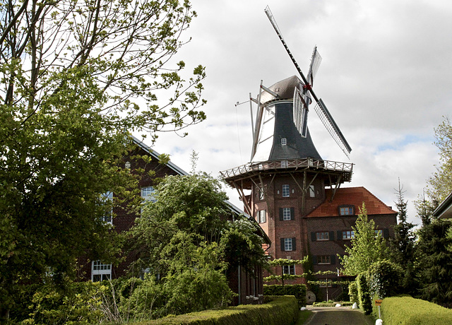 Mühle an der Nordsee