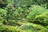 Japanese Garden At The Butchart Gardens