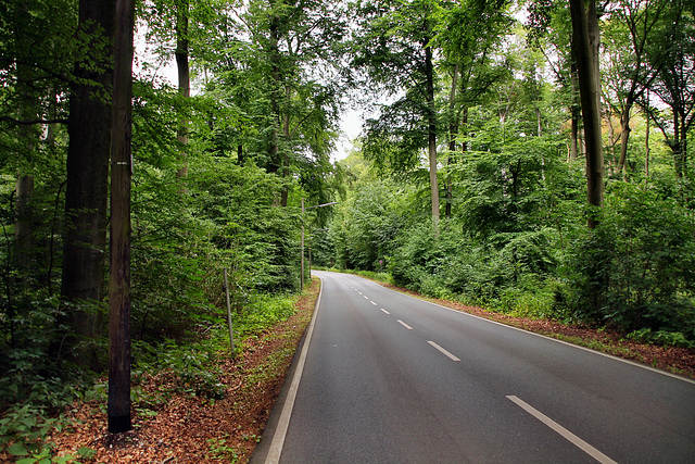 Blankensteiner Straße (Bochum-Weitmar) / 14.07.2019