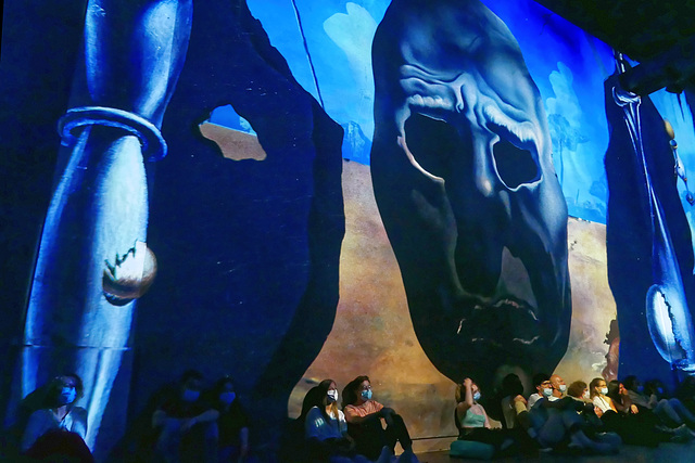 Dali à l'Atelier des Lumières (12)