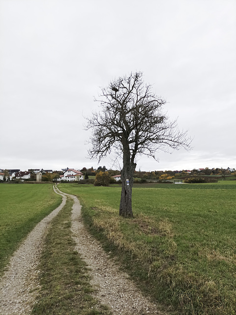 Fränkischer Jakobsweg: Gräfenberg - Kalchreuth