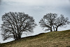 20240327_benneckenstein_wanderung (d800)