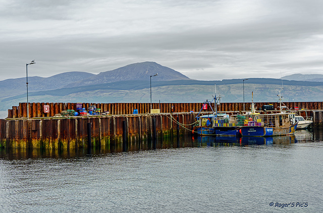 Harbour Wall.