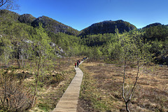 Across the wetland to the steep stairs.