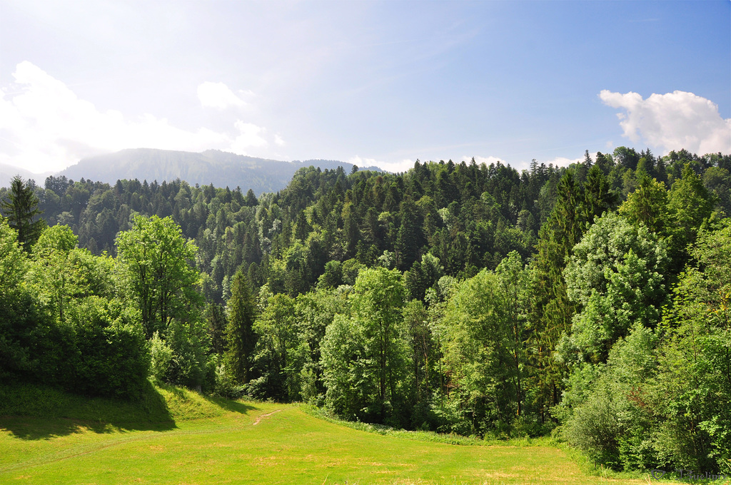 auf dem Weg ins Quelltuff-Gebiet (© Buelipix)