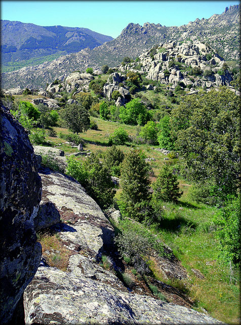 Spring in La Sierra de La Cabrera