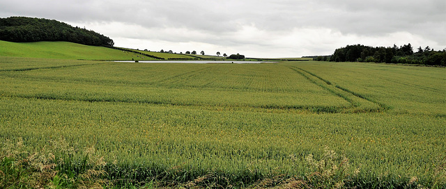 Scotland St. Cuthbert's Way Scotland St. Cuthbert's Way